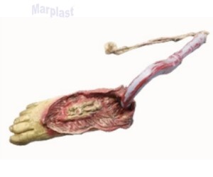 HALLOWEEN ENFEITE PÉS DECORAÇÃO