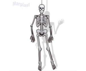 HALLOWEEN DECORAÇÃO DE PAREDE ESQUELETO