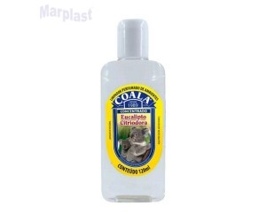 ESSENCIA COALA 120ML 'EUCALIPTO CITRIODORA''